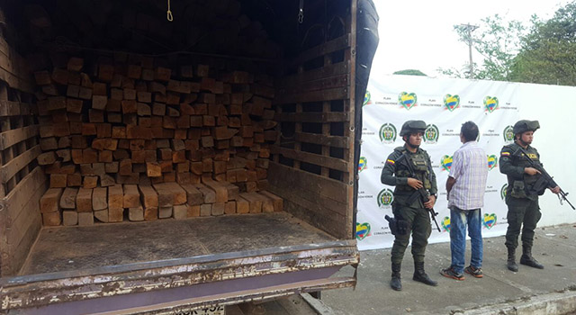 Con “Cedro Rojo”-la Policía Nacional-busca la protección de los bosques-en el Meta