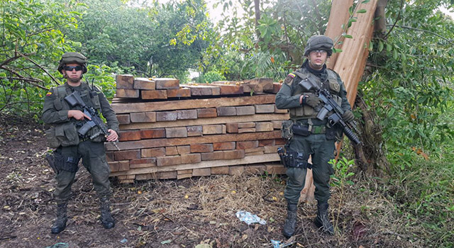 Con “Cedro Rojo”-la Policía Nacional-busca la protección de los bosques-en el Meta