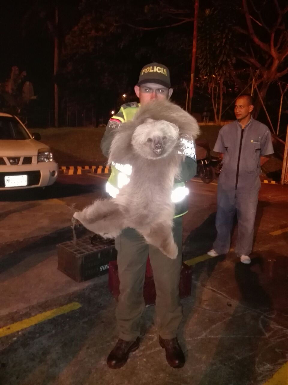 oso-perezoso-y-policia-ambiental