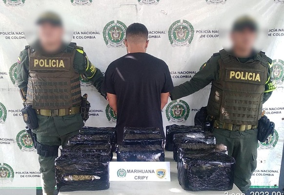 Pasajero de bus llevaba 23 kilos de marihuana Cripy