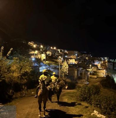 o. En un esfuerzo por fortalecer la seguridad en las zonas rurales de la región,  la Policía Nacional en Pasto, a través del personal de la Seccional de Carabineros y Protección  Ambiental