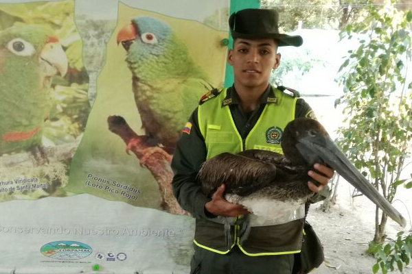 Somos-protectores-de-la-flora-y-la-fauna