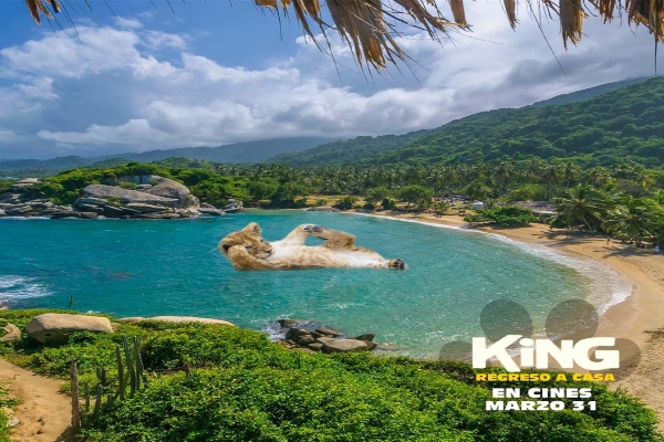  Gran estreno de la película 'King'