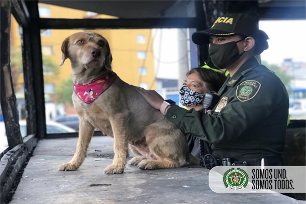 Los vecinos del sector se han sumado para cuidar a la canina, mientras restauran su hoga