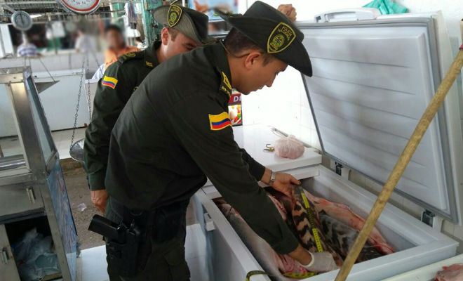 En-Semana Santa-lideramos-planes-y-controles-a-la-venta-de-pescado-en-el-Meta