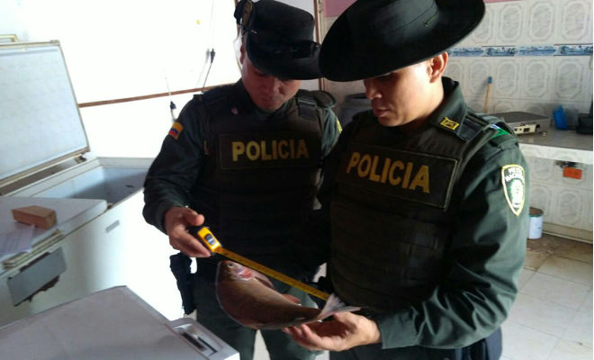 En-Semana Santa-lideramos-planes-y-controles-a-la-venta-de-pescado-en-el-Meta