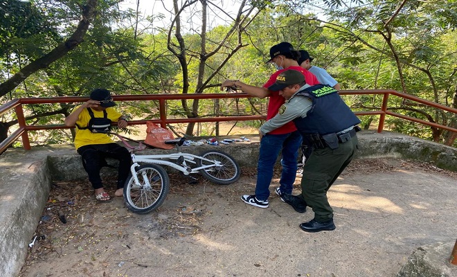 Desarrollo de actividades de registro y control