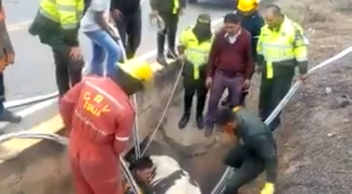  policia-rescata-semoviente