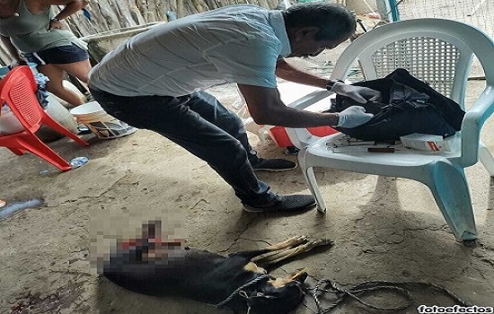 Con arma blanca (machete) provocó graves heridas a una canina