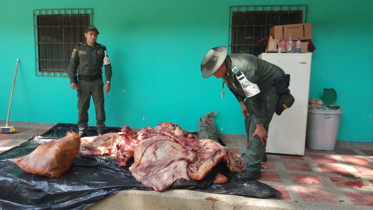 decomiso-carne de res-decreto 1500 de 2007-ambiental-sanitario-fundacion-corpamag