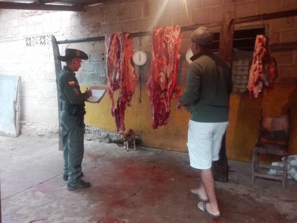 policia ambiental-invima-matadero ilegal-red de participacion civica-algarrobo-decomiso de carne