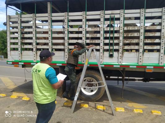 Controles y campañas de prevención