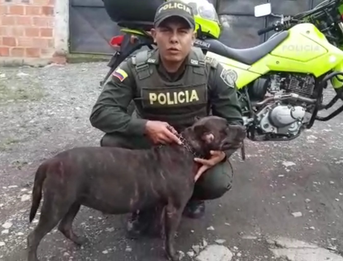 Policía-hurto-can-herida