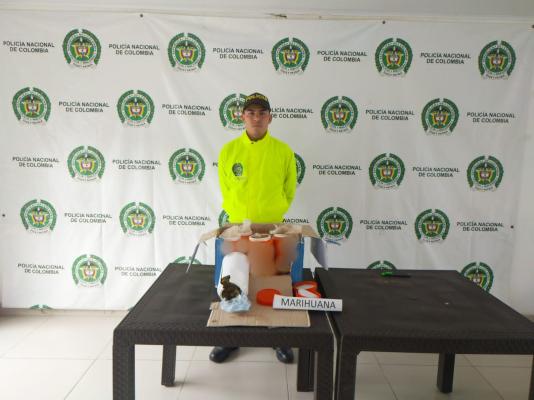 Policía halló camuflados 2.000 gramos de marihuana transportados en la modalidad encomienda 