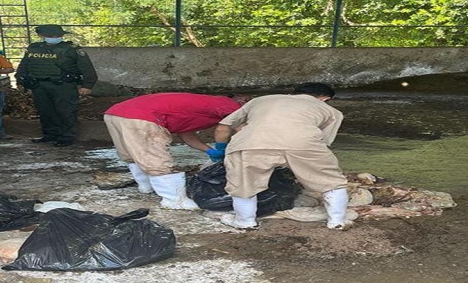 Policía Nacional logra la incautación de carne 