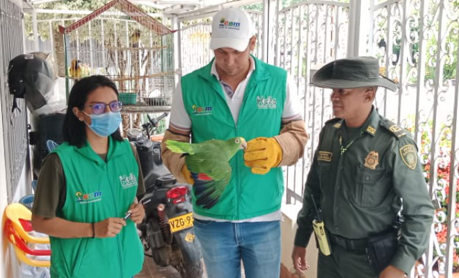 Policía nacional logra la incautación de 06 especies silvestres