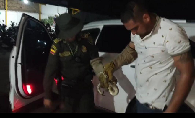 Policía Nacional realizó la aprehensión preventiva de una serpiente