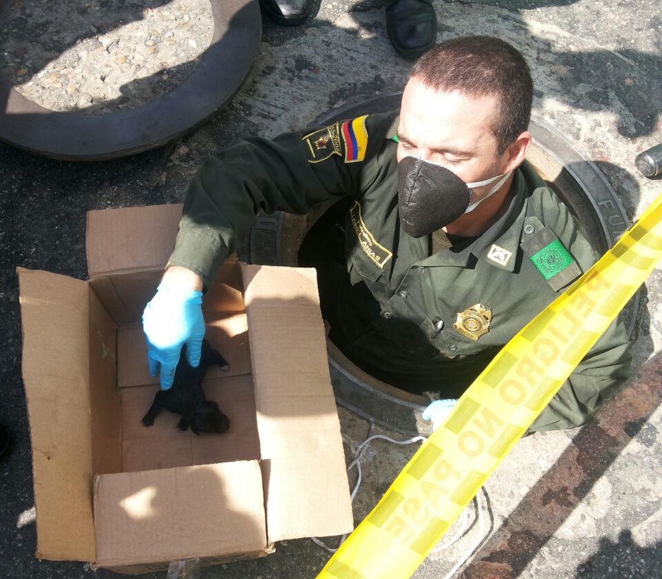 policia_rescato_canica_y_cachorros