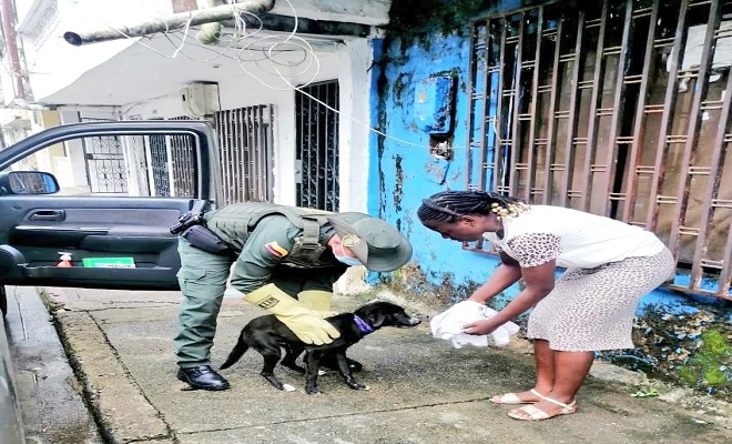Policía rescató canino maltratado en el barrio reposo de Quibdó