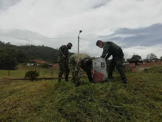  policia_y_ejercito_nacional_realiza_campaña_de_limpieza_y_ornato_en_toledo