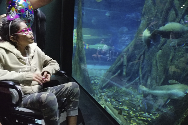 Adolescente observa con detenimiento acuario