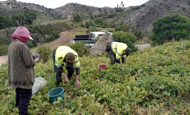 Balance preventivo y operativo que dejó la última semana comprendida entre el 27 de agosto y el 2 de septiembre