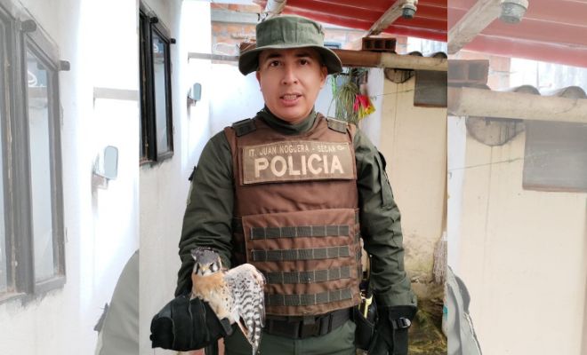 Seccional de Carabineros y Proteccion Ambiental