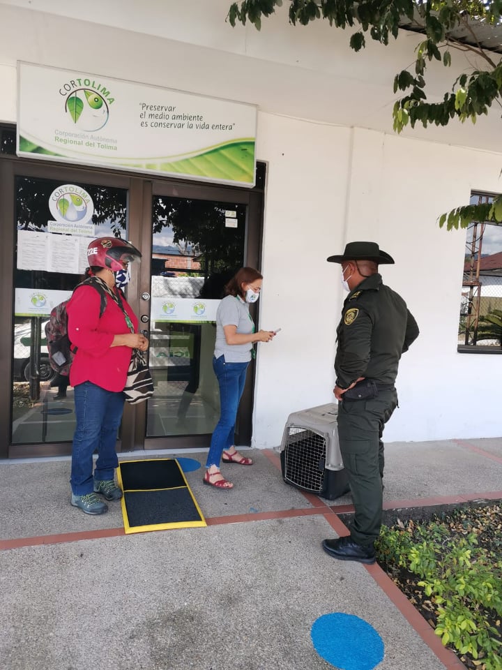 ‘Somos uno. Somos todos por la protección de los animales en Tolima’