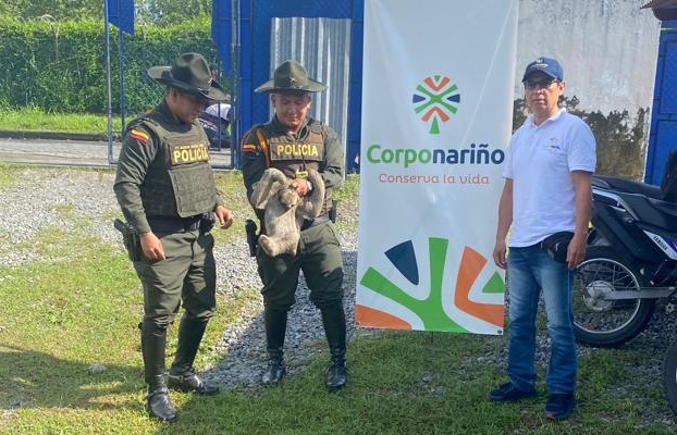 Comprometidos con la protección ambiental