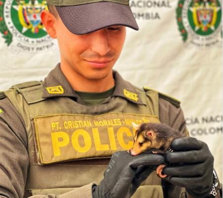 Promueven acciones de protección animal 