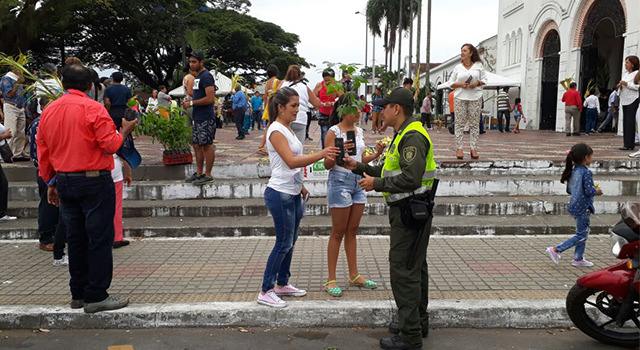 La Policía Nacional-vela por la protección de la palma de cera-hogar del loro orejiamarillo-Meta