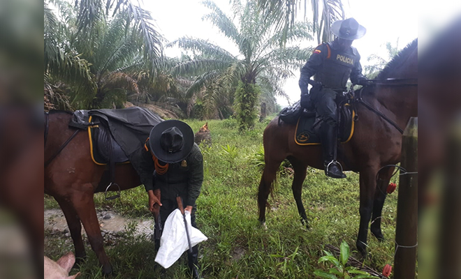 Con-el-Plan de Choque-nuestros-Carabineros-le-quitan-arma-de-fuego-a-la-delincuencia