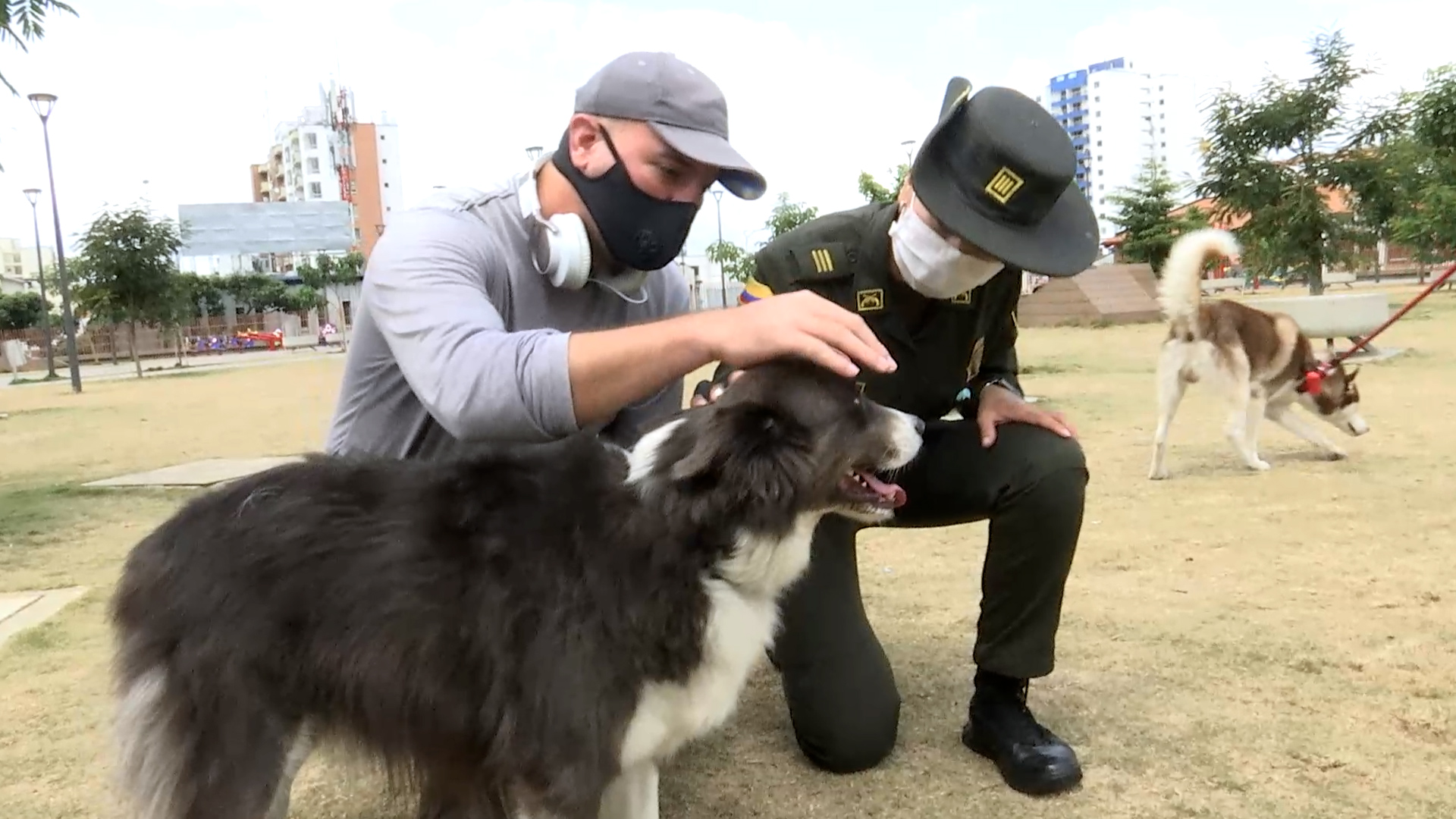 Recomendaciones  para nuestras mascotas en Halloween 3