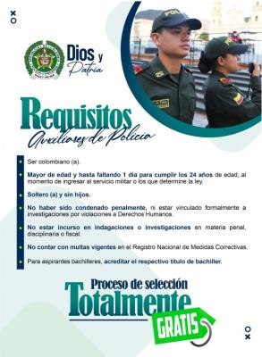Requisitos auxiliar de Policía