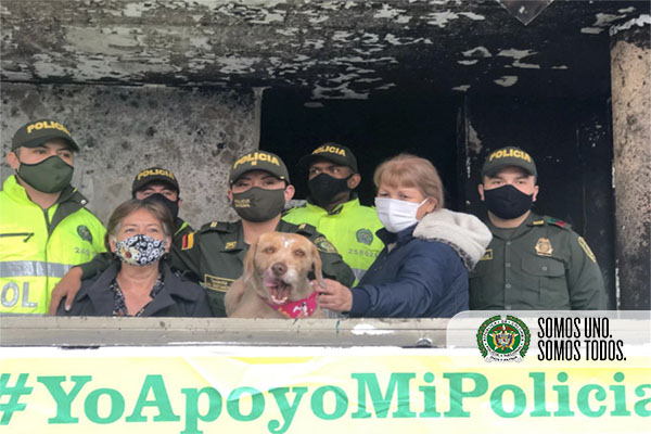 Los vecinos del sector se han sumado para cuidar a la canina, mientras restauran su hoga