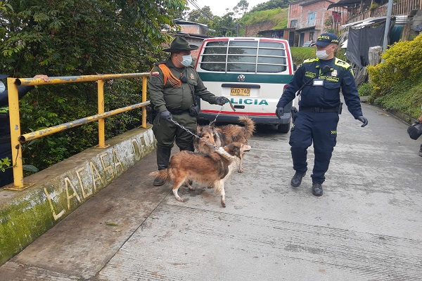Policía de Carabineros y Protección Ambiental 