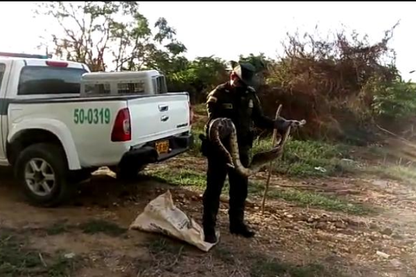 Compromiso con la fauna