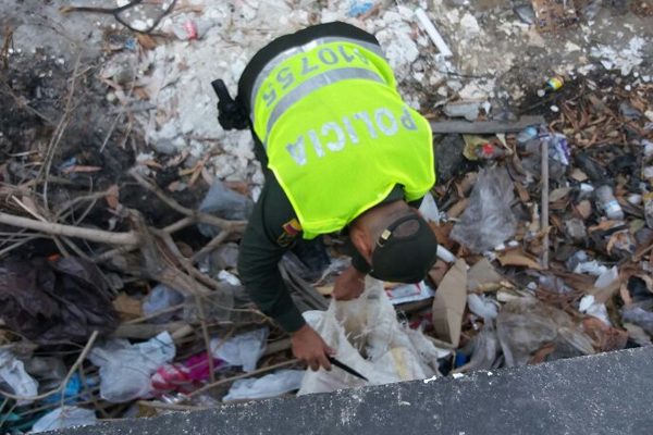 Perro rescatado en Barranquilla