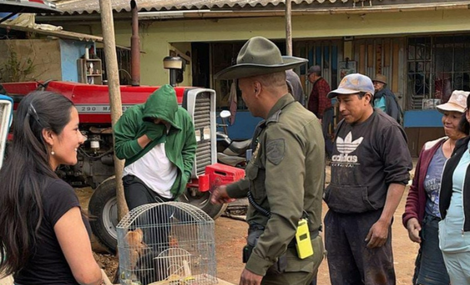 Recuperan especies de fauna silvestre