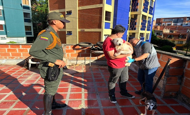 Mala tenencia de animales de compañía en el barrio Manrique