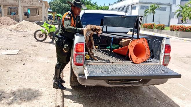 Rey fue trasladado de urgencias a una clínica veterinaria para ser tratado y valorado.