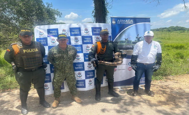 la Policía Nacional en Bolívar, en coordinación con la Armada Nacional, realizó la aprehensión preventiva de una boa constrictor 