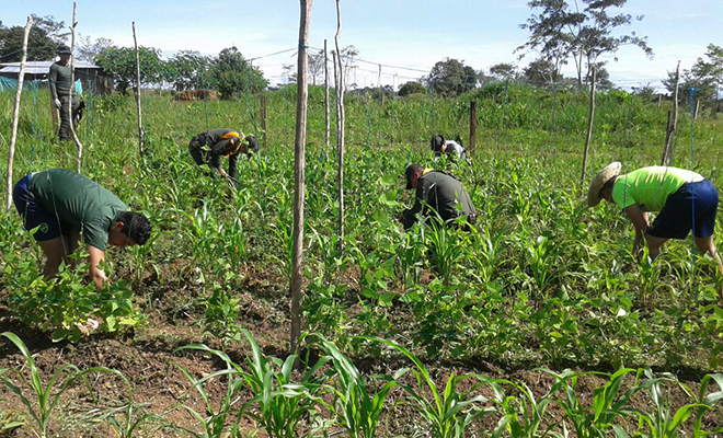 La Policía Nacional-fortalece-la convivencia-en-las-zonas rurales-del Meta