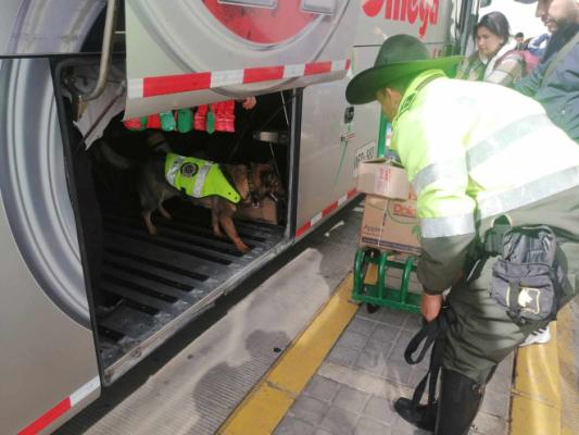 SEMANA DE LA SEGURIDAD_2