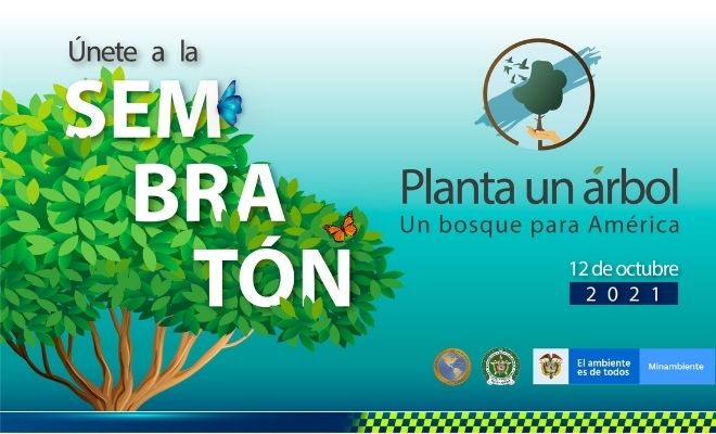 Un bosque para América 