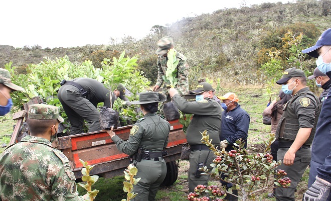Nuestra Escuela comprometida con el medio ambiente 