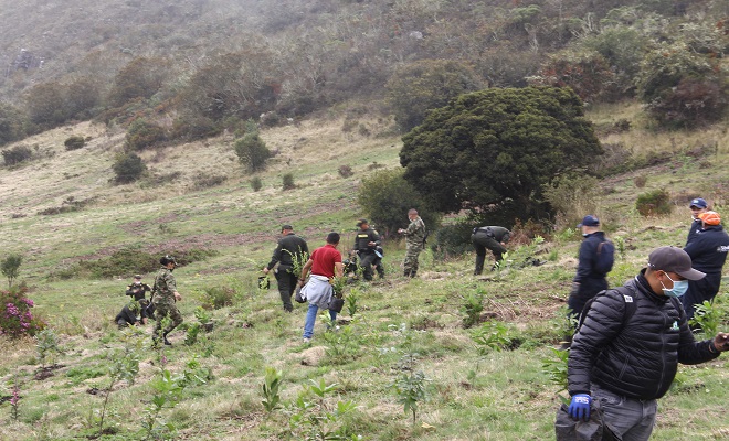 Nuestra Escuela comprometida con el medio ambiente 