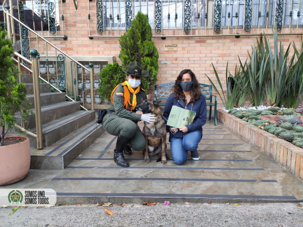 Entregamos 15 caninos en adopción en Bogotá 