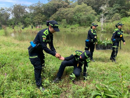 Siembra de arboles sector de los lagos