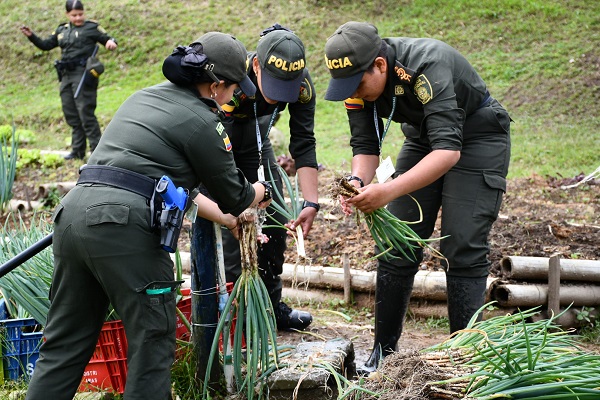Participación en el mercado campesino